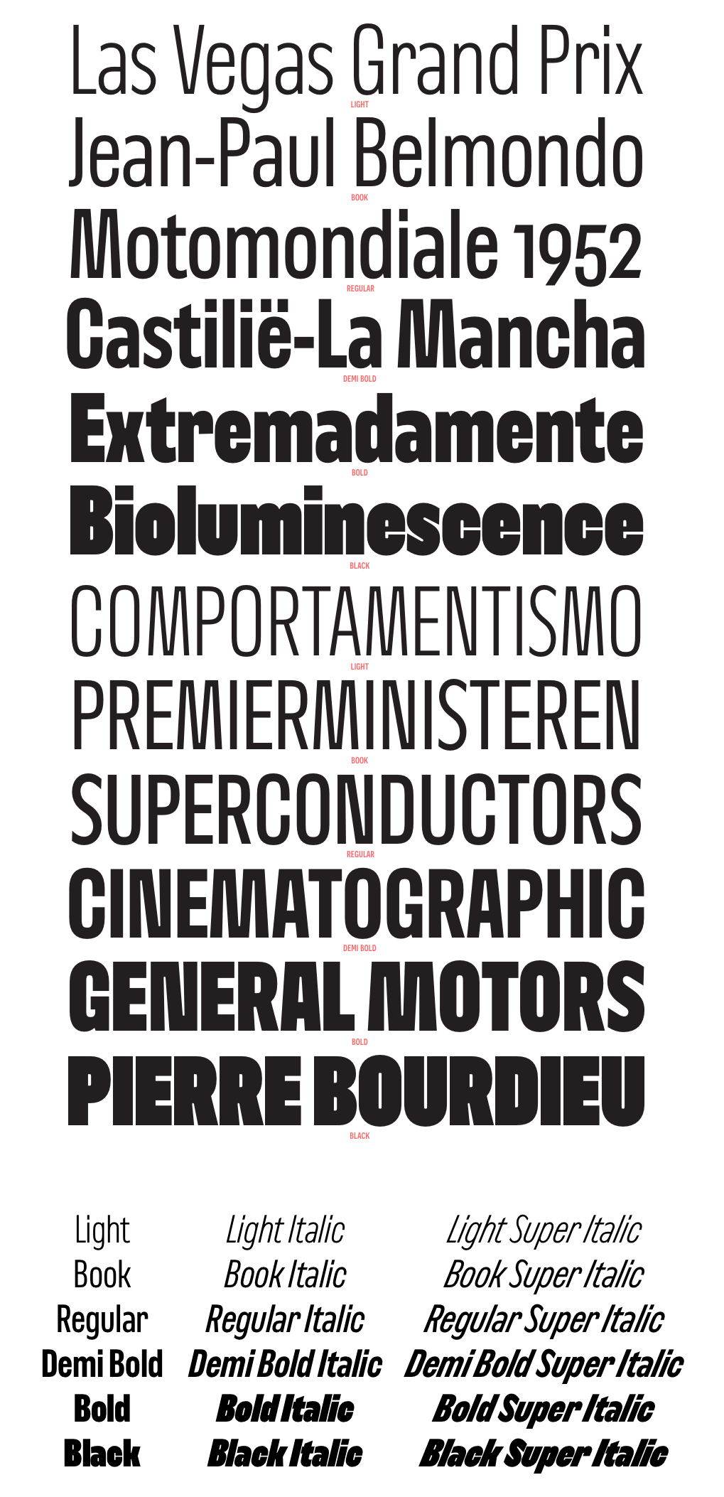 specimen with weights examples:  light, book, regular, demi bold, bold, black and their italics and super italics
