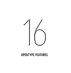 16 opentype features