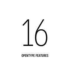 16 opentype features