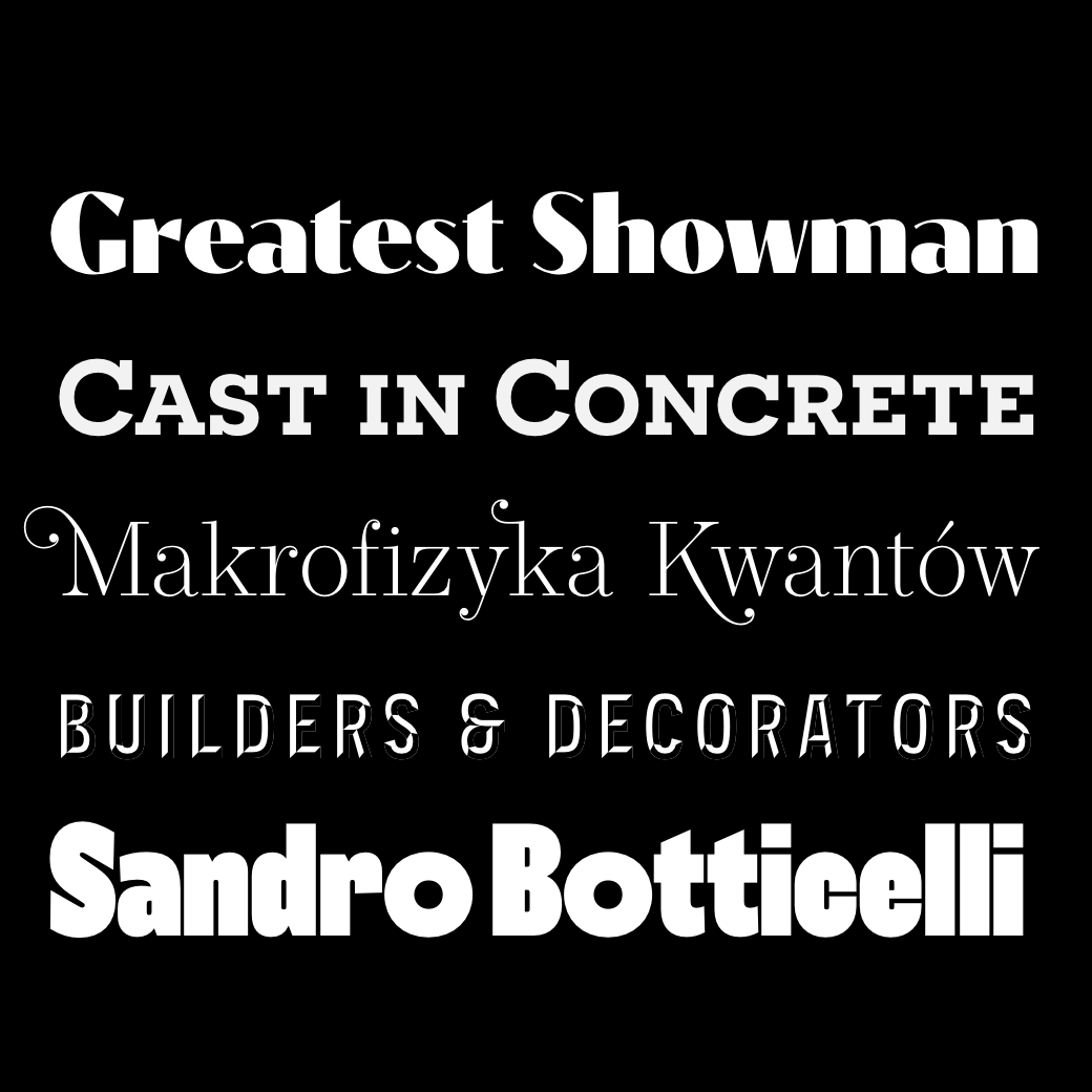 A mixed specimen illustrating all the fonts made by Synthview type Design